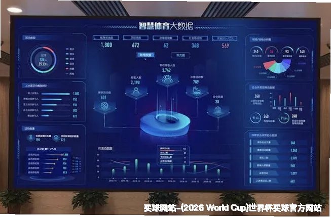使用指南与风险提示
